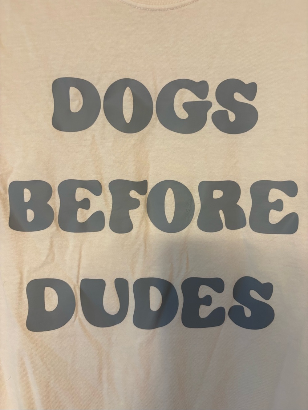 Comfort Colors Cream Tee with Gray 'DOGS BEFORE DUDES' Print - Picture 2 of 4